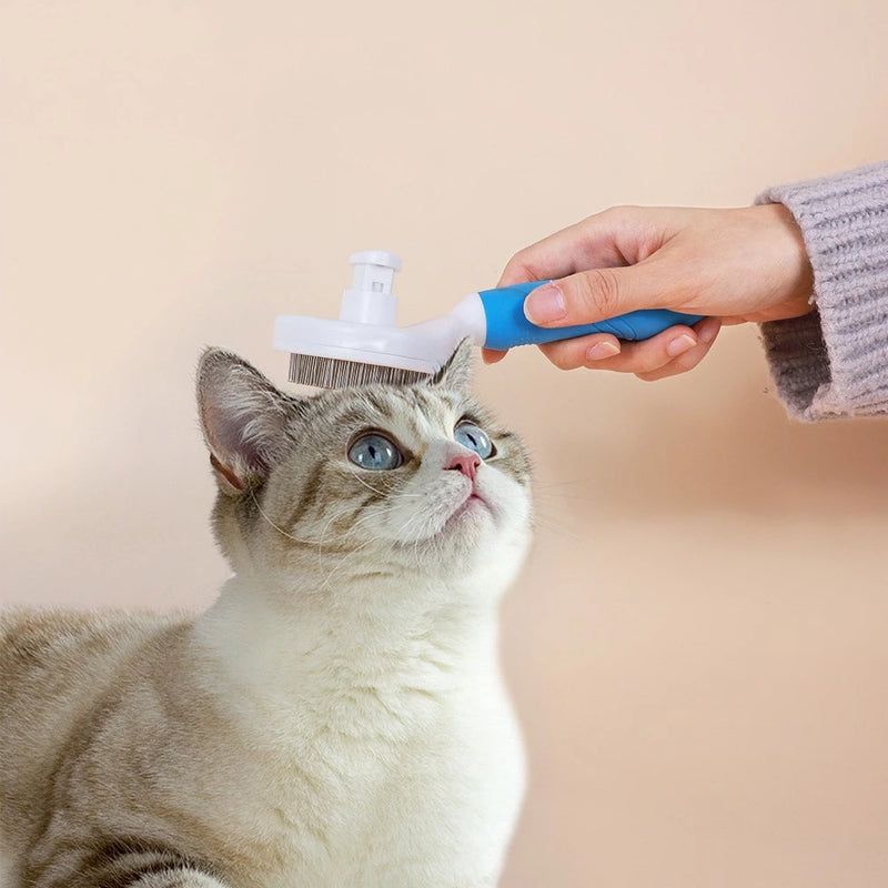 Escova Removedora de Pelos Para Pets